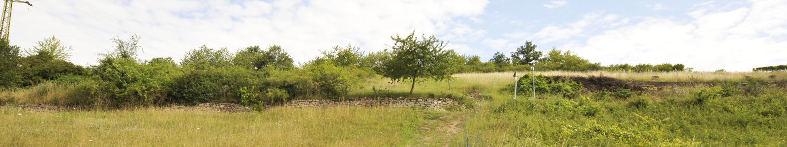 Wildbewachsene Landschaft ©DLR